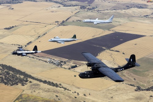 Rookie赛事官方发布问鼎冠军新规，澳大利亚队争议不断！的简单介绍