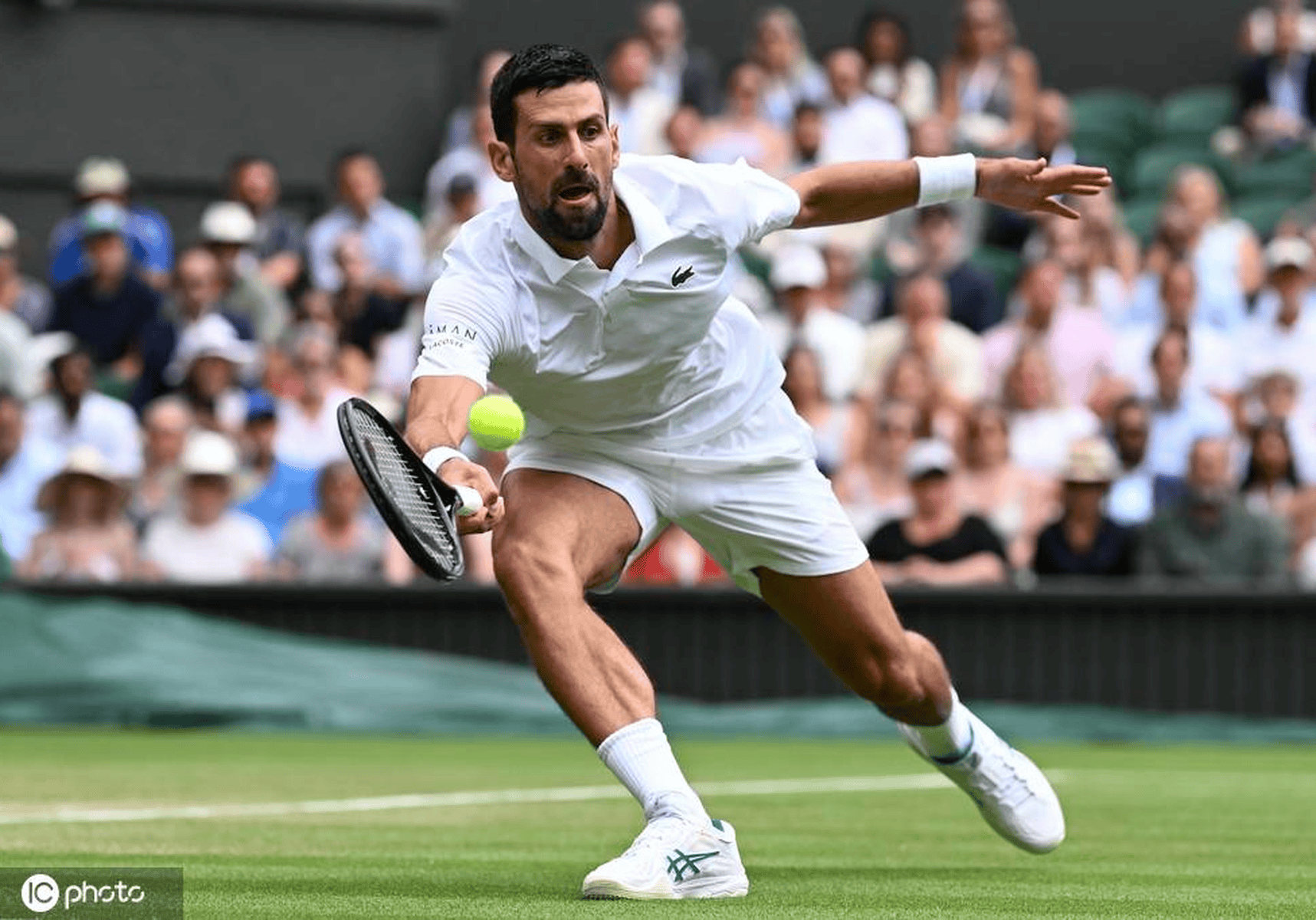 关于德约科维奇关键节点战术调整，日本队带队取胜！的信息